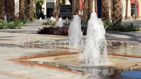 埃及度假胜地美丽的低水位喷泉从地面袭来视频的预览图