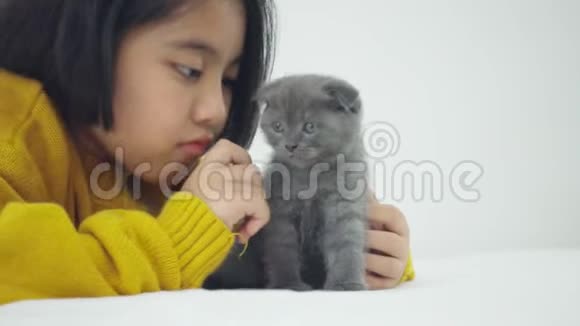 可爱的亚洲女孩和可爱的小猫玩耍漂亮的女孩紧紧地抱着一只猫在室内视频的预览图