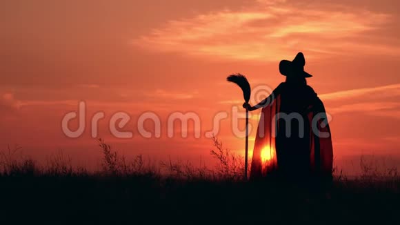 穿着奇装异服的女孩女巫拿着扫帚站在田野上视频的预览图