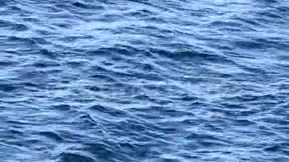 蓝色海面带波浪视频的预览图
