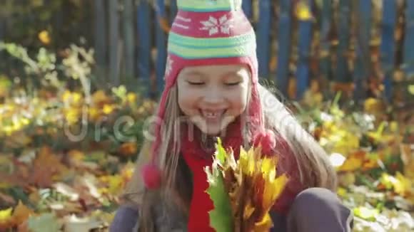 美丽小姑娘玩秋天黄叶在公园里秋天的概念视频的预览图