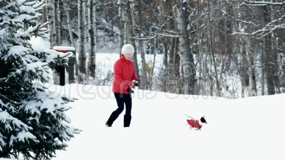 冬天暴风雨过后穿着红色夹克的女人和狗在雪地里散步视频的预览图