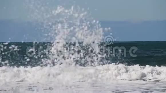 北加利福尼亚州有冲浪者游泳的海洋视频的预览图