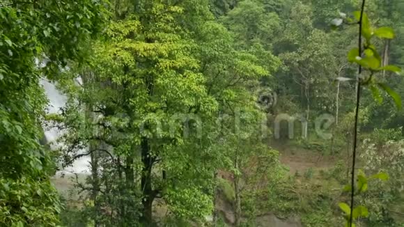 绿色热带树木和瀑布的背景视频的预览图