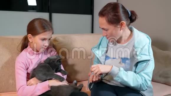 一个女人带着女儿滴眼药水猫治疗视频的预览图