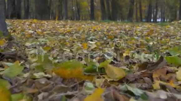 漫步公园小路秋日跑道上的黄叶视频的预览图