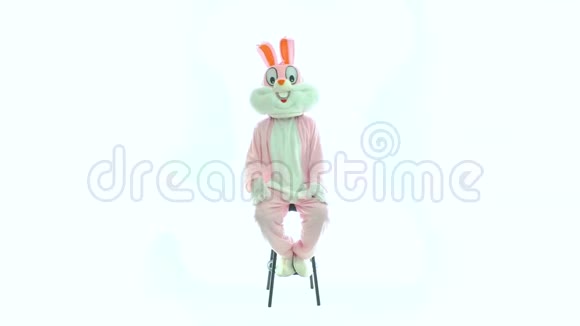 复活节兔子坐在椅子上庆祝复活节穿兔子服装的男人微笑享受拍白色背景的手视频的预览图