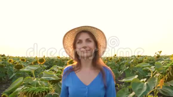 穿着蓝色连衣裙和帽子的女人走在向日葵之间穿过田野农业视频的预览图