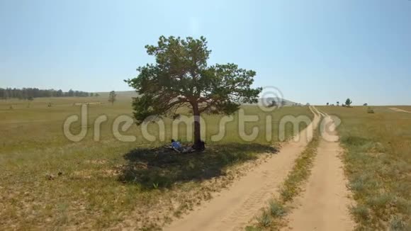 女孩躺在一棵孤独的树下在田野里画了一幅风景画视频的预览图