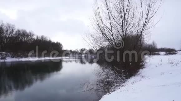冬天美丽的野生大自然视频的预览图