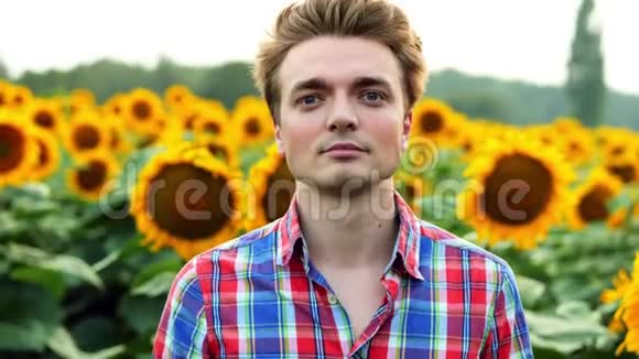 一位年轻成功的农民看着镜头在田野背景上微笑着向日葵的肖像视频的预览图