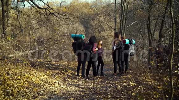 年轻游客在美丽的秋天森林徒步旅行视频的预览图