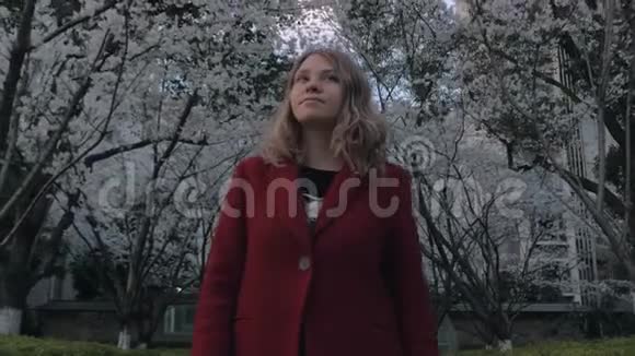 迷人的金发女孩穿着红色外套走在樱花巷享受着盛开的树木的气味视频的预览图