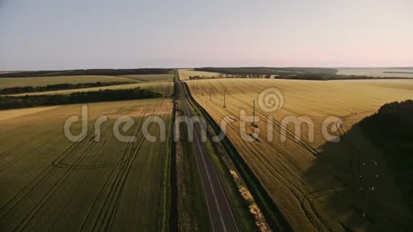 顶景空中拍摄绿野草木粮田和木材空中射击视频的预览图
