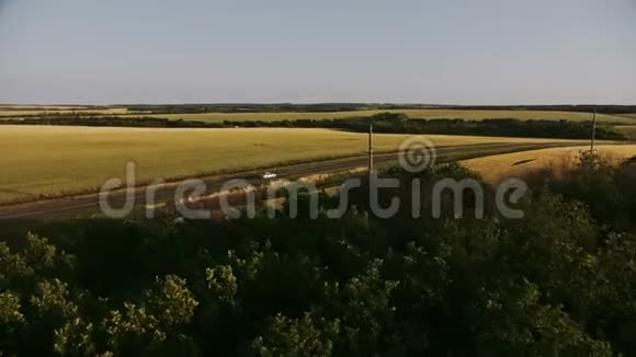 顶景空中拍摄绿野草木粮田和木材空中射击视频的预览图