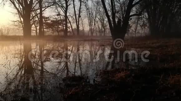 秋天的早晨海霜中的草药雾跨越田野视频的预览图