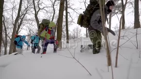 四个人在探险徒步旅行是在困难的条件下进行的人们掉进雪堆里视频的预览图