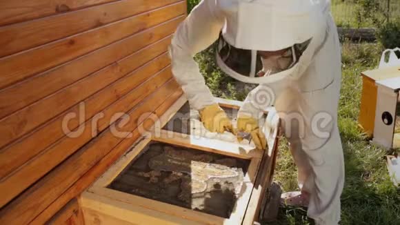 一个穿着白色保护服的养蜂人用一种特殊的工具打开了木制蜂巢的盖子蜜蜂在飞来飞去视频的预览图