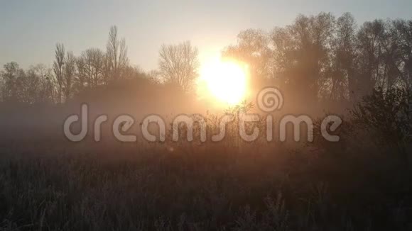秋天的早晨海霜中的草药雾跨越田野视频的预览图