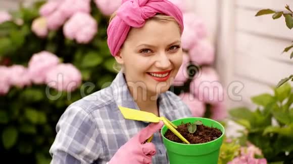 快乐的女人在花园里照顾花种植盆栽女人在花盆里园艺植物护理园艺不仅仅是视频的预览图