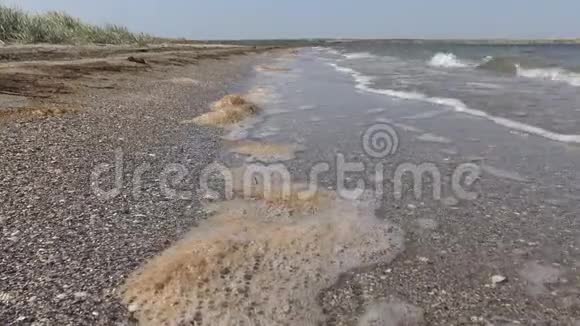 肮脏的水棕色泡沫与微藻在蒂利古河口的沙吐乌克兰视频的预览图