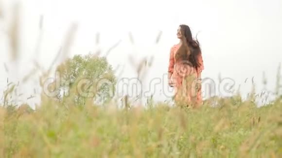 美丽的女孩走在田野的绿草上慢动作一头棕色的高个子视频的预览图