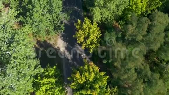 在森林道路上慢跑者的空中跟踪射击从无人驾驶飞机的俯视图看慢跑者在公园路上奔跑视频的预览图
