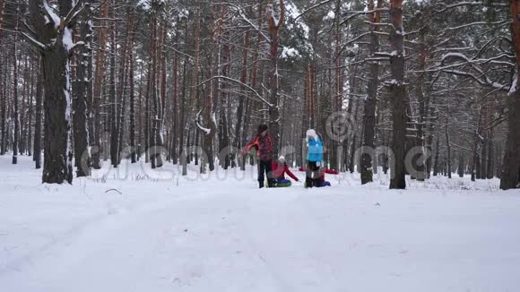 快乐的爸爸和妈妈在冬天的森林里和孩子们一起拉雪橇冬天父母和孩子们在一个下雪的公园里玩开心快乐视频的预览图