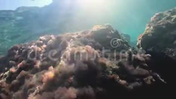 在海底游泳actioncamerashot慢动作视频的预览图