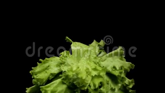 新鲜绿色沙拉隔离在黑色背景健康食品和蔬菜的概念库存录像靠近绿色视频的预览图