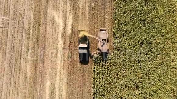 秋收玉米的拖拉机和农用机械视频的预览图