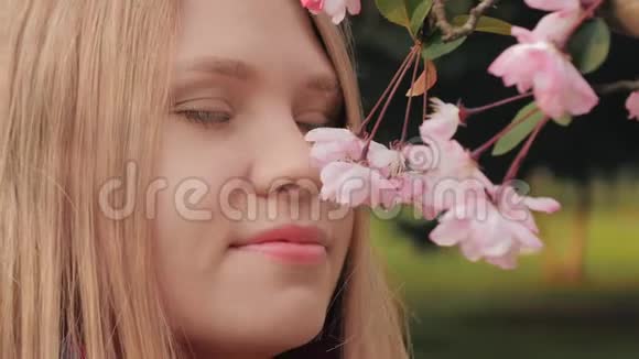 特写镜头迷人的女孩嗅着粉红色的花朵女人喜欢枝头绽放的樱花的味道视频的预览图