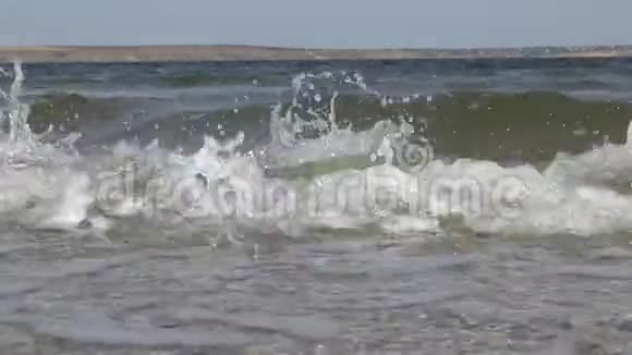 带有微藻波的脏水正向乌克兰提利古尔河口的沙质唾沫上的镜头移动视频的预览图