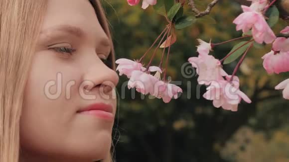 特写镜头迷人的女孩嗅着粉红色的花朵女人喜欢枝头绽放的樱花的味道视频的预览图