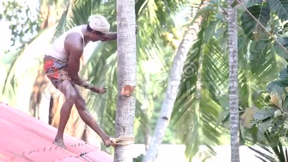 印第安人站在屋顶上砍倒棕榈树视频的预览图