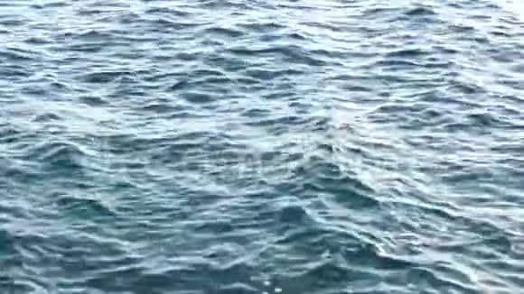 海水中的蓝色视频的预览图