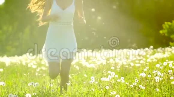 美丽的女孩奔跑在太阳日落的夏日蒲公英田野上玩得很开心自由健康幸福年轻快乐视频的预览图