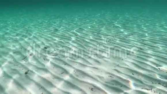 海水中的小波浪的运动所产生的令人印象深刻和令人敬畏的水下光效应照亮了白色的撒哈拉沙漠视频的预览图
