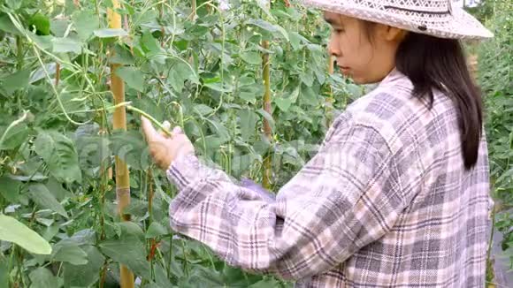 亚洲园丁妇女在农田里摆姿势微笑着对着镜头农业和种植理念视频的预览图