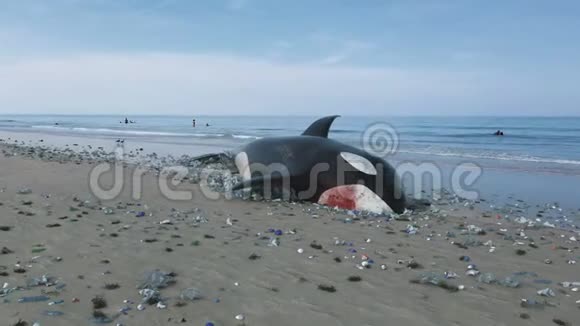 海洋污染造成的致命鲸鱼死亡视频的预览图
