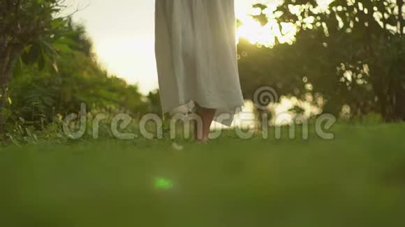 穿着白色连衣裙的苗条女孩走在傍晚阳光的光线下回到欣赏温暖空气的森林小径上视频的预览图