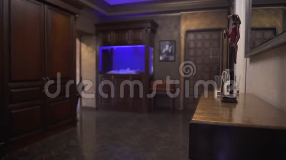 现代客厅在一个新的公寓与木制家具最小的装饰和蓝色水族馆与背光照相机视频的预览图