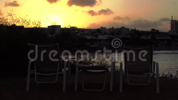 太阳落山在无花果树海滩前视频的预览图