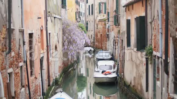 威尼斯街道上的一条水道一只小船和紫丁香视频的预览图