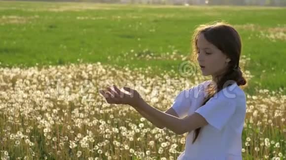 小女孩手里拿着蒲公英的种子吹走了在风中飞扬的种子美丽的太阳背光启动n的概念视频的预览图