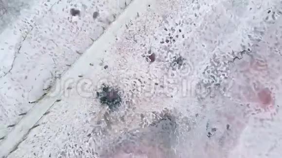 外来自然景观干盐湖粉水视频的预览图