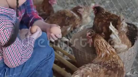 在母鸡农场工作的亚洲小女孩视频的预览图