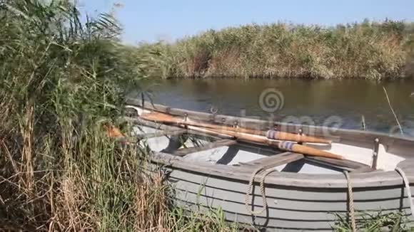 在芦苇丛里划船视频的预览图