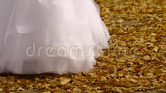 新娘礼服在秋天摇摆视频的预览图