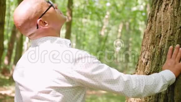 一个秃头男子站在森林里摸树干的手持镜头绿树夏天大自然中弹视频的预览图